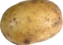 Big Potato vegetable PNG picture - Transparent Background ...