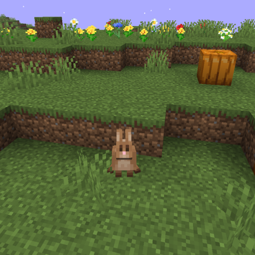 Rabbit Disguise