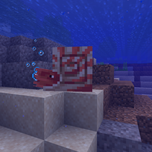 Nautilus Disguise