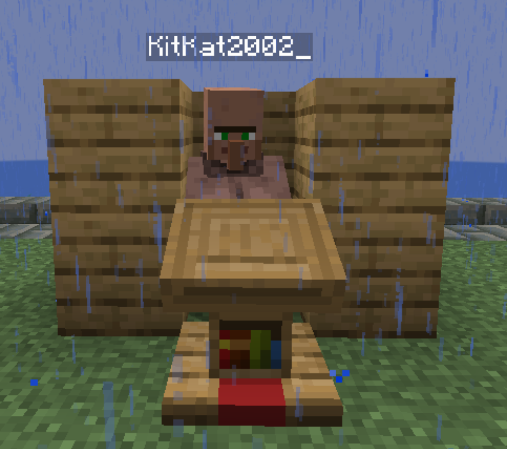 Villager Disguise