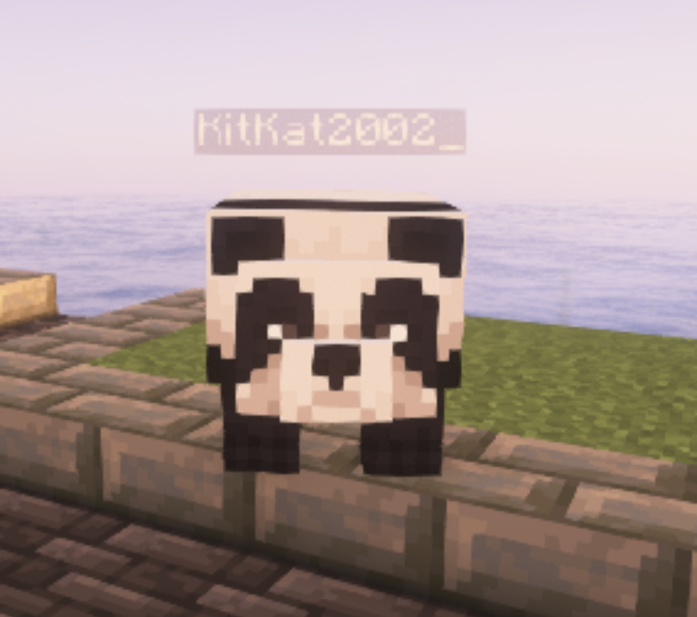 Panda Disguise