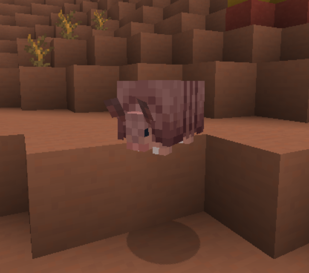 Armadillo Disguise