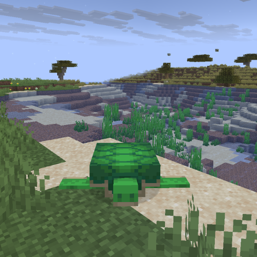 Turtle Disguise