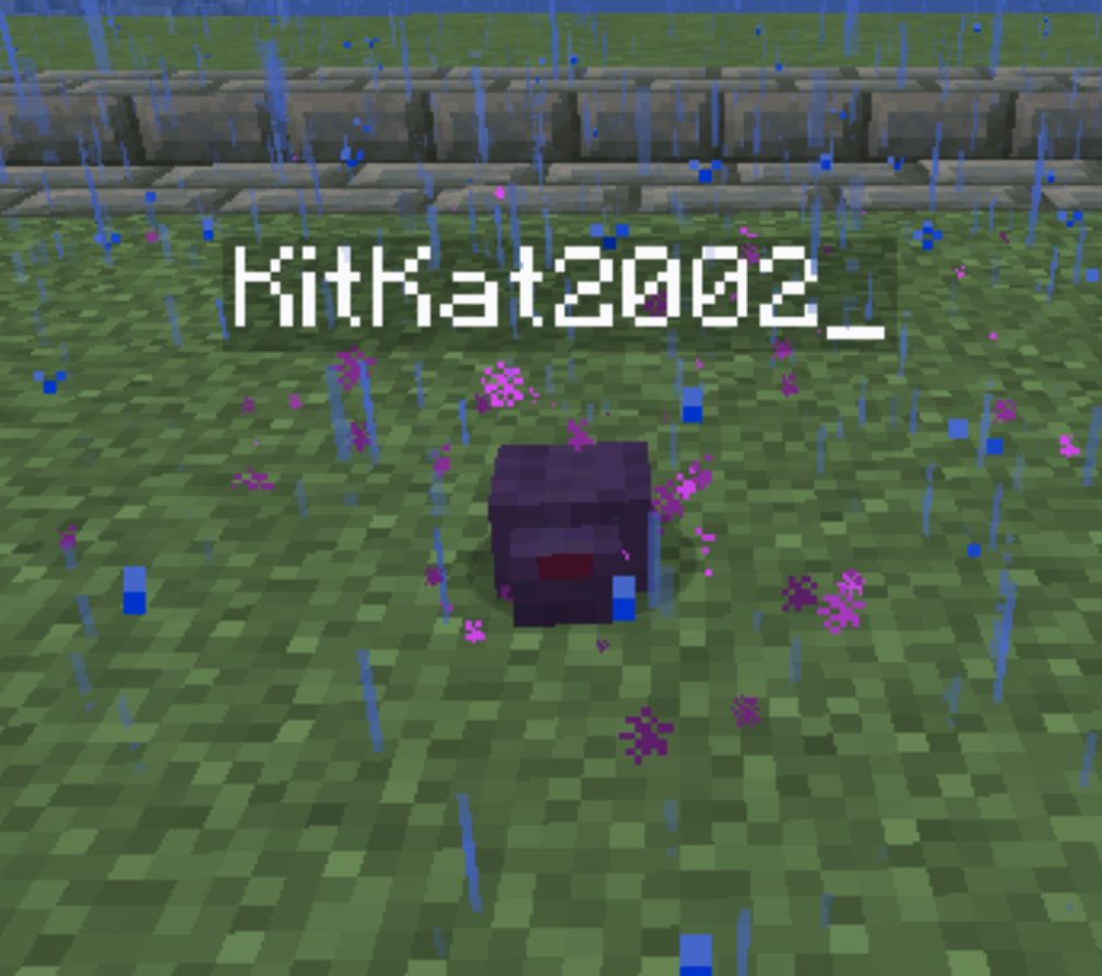 Endermite Disguise
