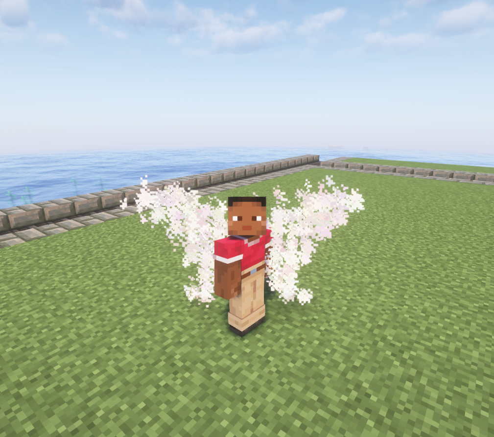 Angel Wings - White