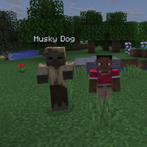 Pet Husk